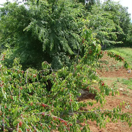 Apartmens Luburic شقة *